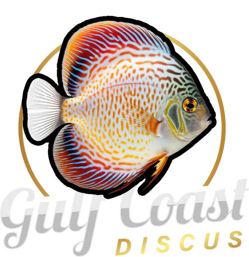 Gulf Coast Discus Fish Hatchery Online Store
