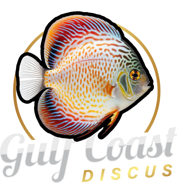 Gulf Coast Discus LLC Online Store